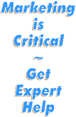 Marketing is Critical: Get Expert Help