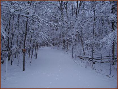 Driveway in winter